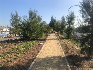Photograph of last stage of Culver Blvd Realignment and Stormwater Project