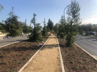 Photograph of last stage of Culver Blvd Realignment and Stormwater Project