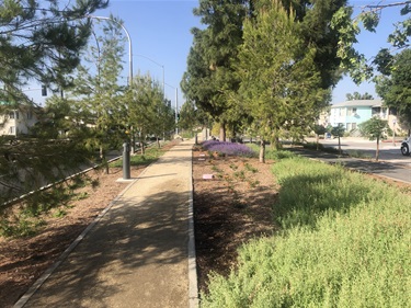 Photograph of last stage of Culver Blvd Realignment and Stormwater Project