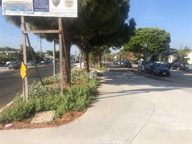 Photograph of last stage of Culver Blvd Realignment and Stormwater Project