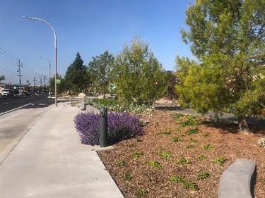 Photograph of last stage of Culver Blvd Realignment and Stormwater Project