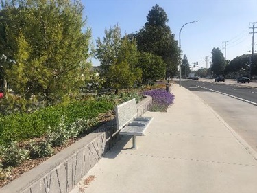 Photograph of last stage of Culver Blvd Realignment and Stormwater Project