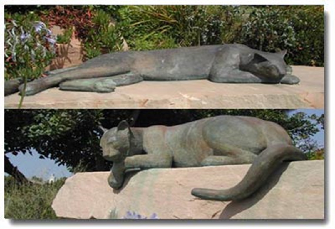 Cougars I and II