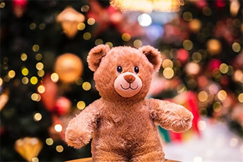 Teddy Bear