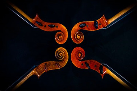 Violin Handles