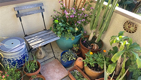 balcony with potted plants