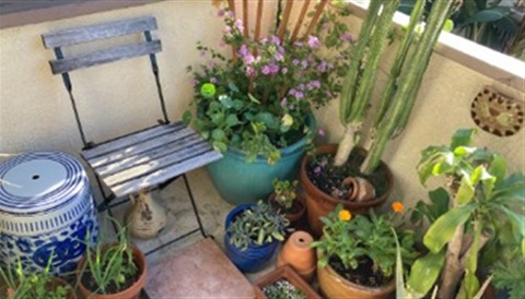 HerbGardeningWrkshop.jpg