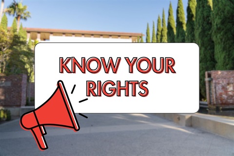 Know Your Rights Graphic
