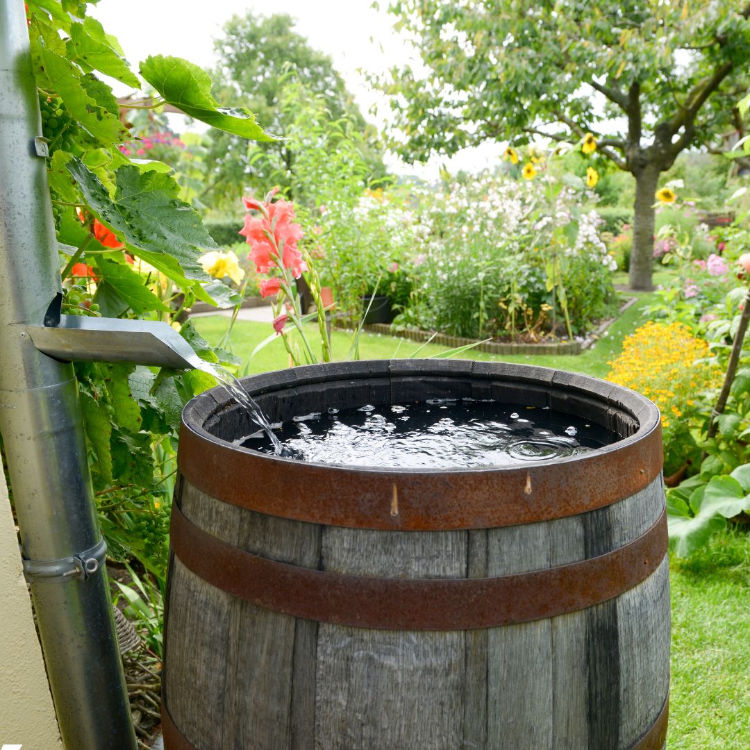 Rain barrel
