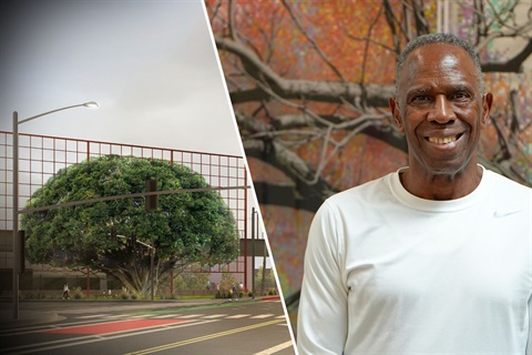 Rendering of A Frame for a Tree and photo of artist Charles Gaines