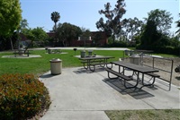 CC-Picnic-1.jpg