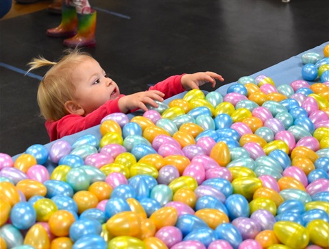 Egg-Hunt-2024.jpg