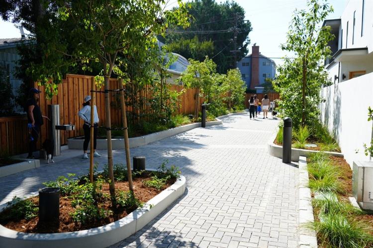 Photograph of newly constructed Farragut Connector pathway.