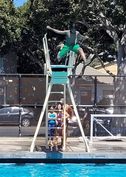 plunge-into-summer-2_cropped.jpg