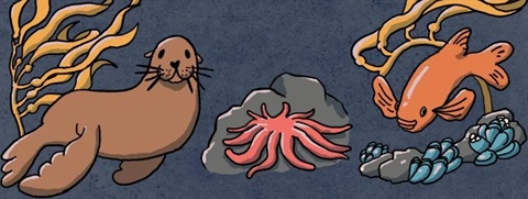 ocean wildlife