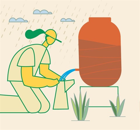 person with rain barrel and plants