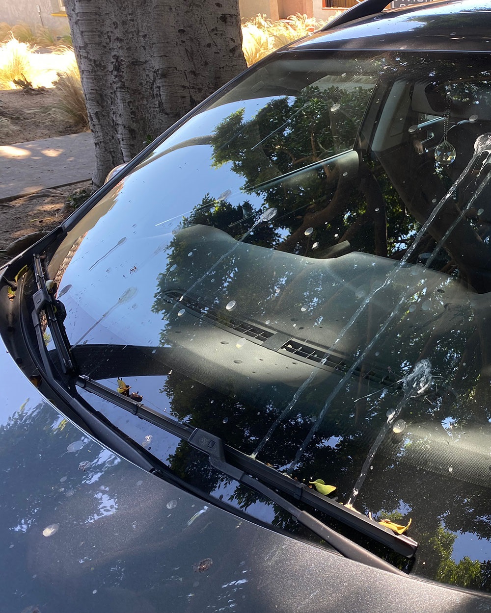 car-wash-web.jpg