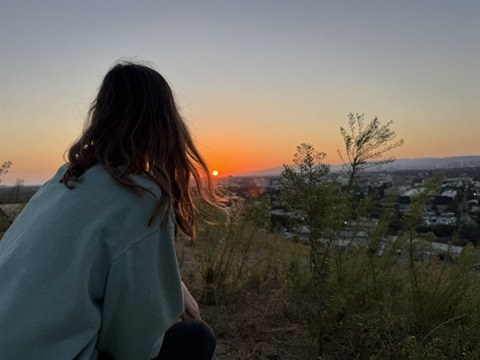 Looking over a Culver City sunset on the horizon