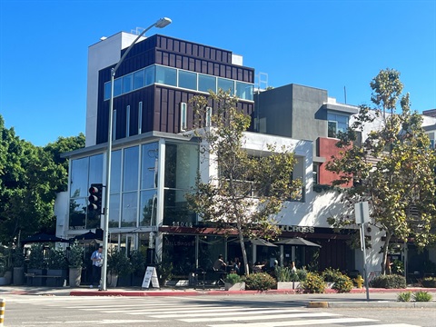 Tilden.jpg